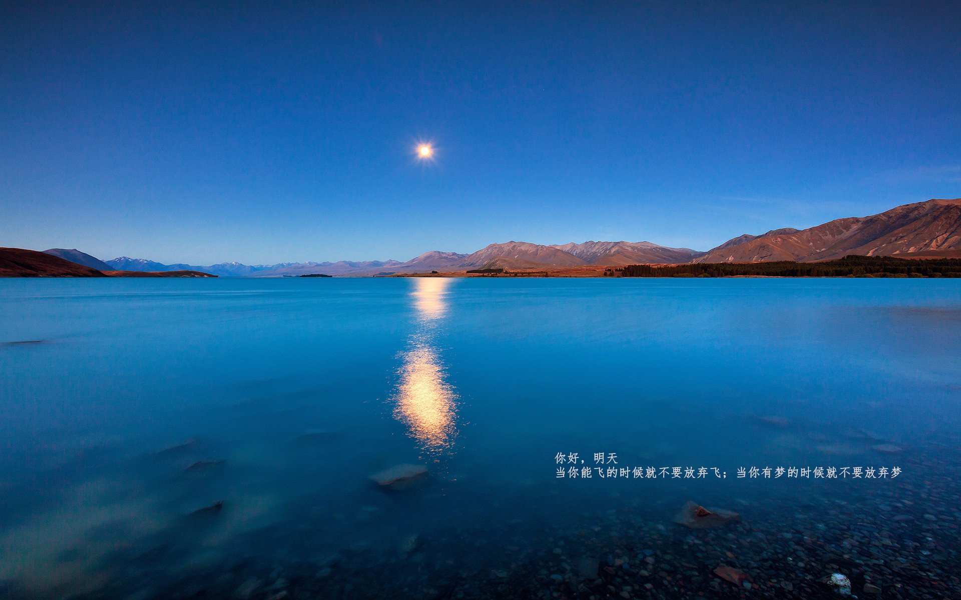 网球的十字路口，戴维斯杯的热火，如何碾压了温网的优雅序曲？