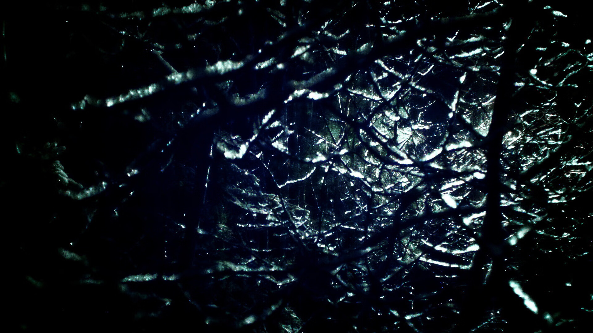 网球的十字路口，戴维斯杯的热火，如何碾压了温网的优雅序曲？