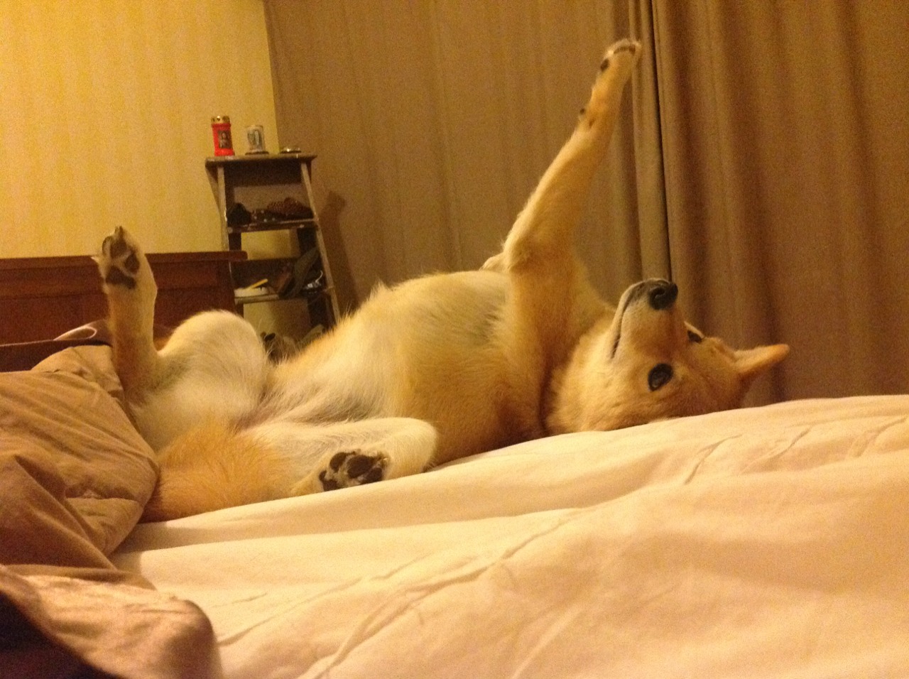 绿茵场上的总决赛，马德里竞技以NBA式全局掌控，稳稳拿下瑞士铁壁