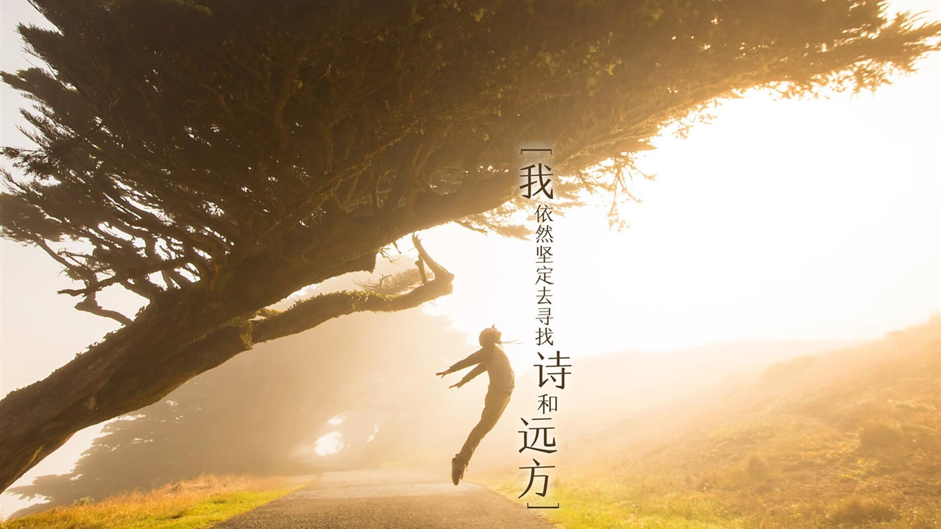 北欧重锤击碎三狮幻想!伊萨克凌空斩锁定胜局,皇家社会点燃伊比利亚晨曦