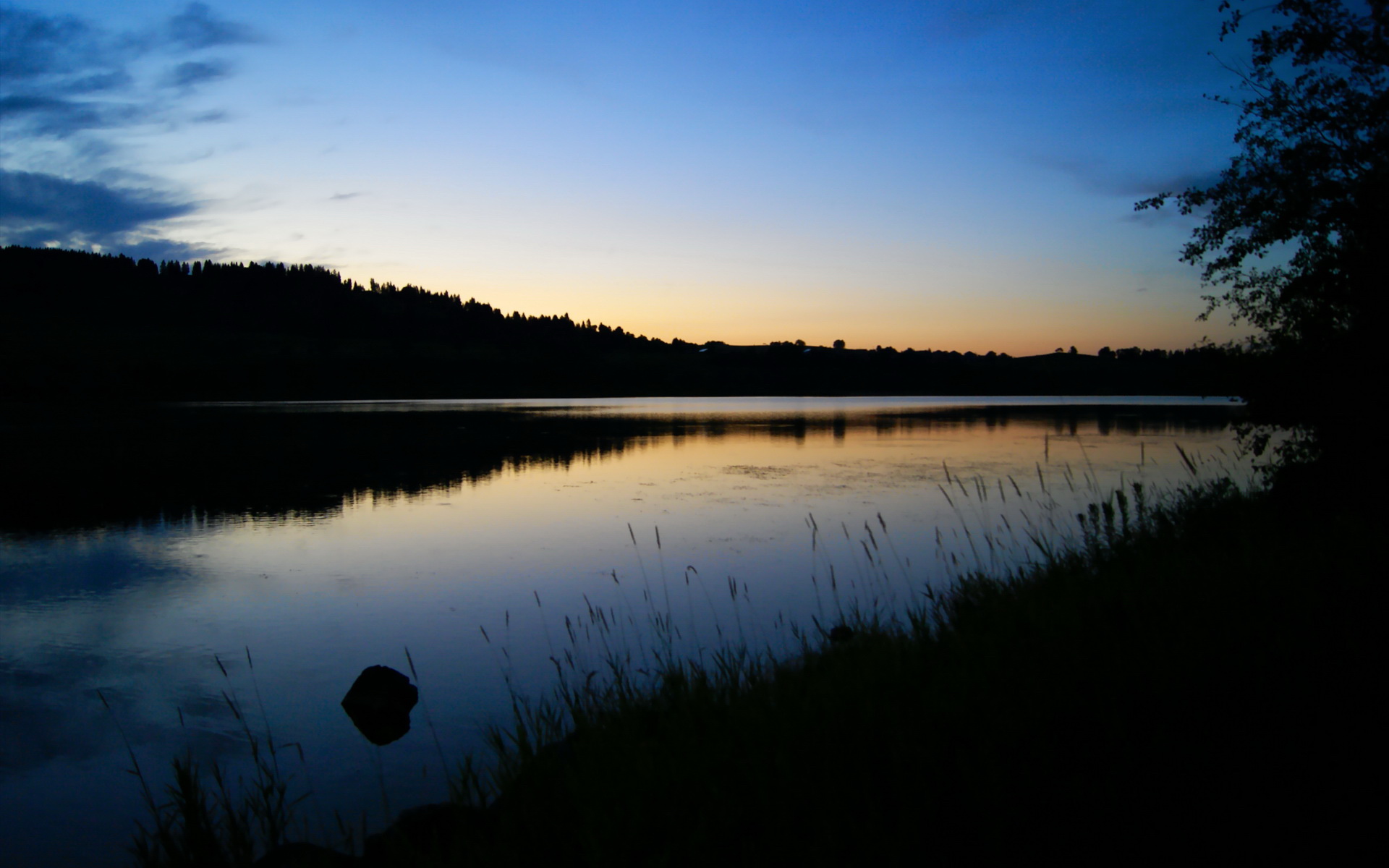 中场十分钟改变一切,布克用心脏骤停式演讲唤醒沉睡的上海猛虎