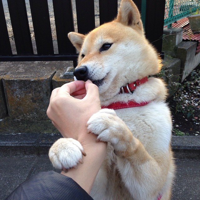 硬核胜利—当莱比锡的蓝图为库尔图瓦铺路，足球迈入秩序意志新时代