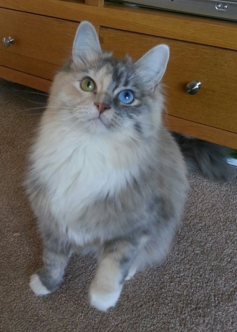 利拉德末节狂飙19分主宰攻防，开拓者窒息式火力压制太阳迎关键胜利