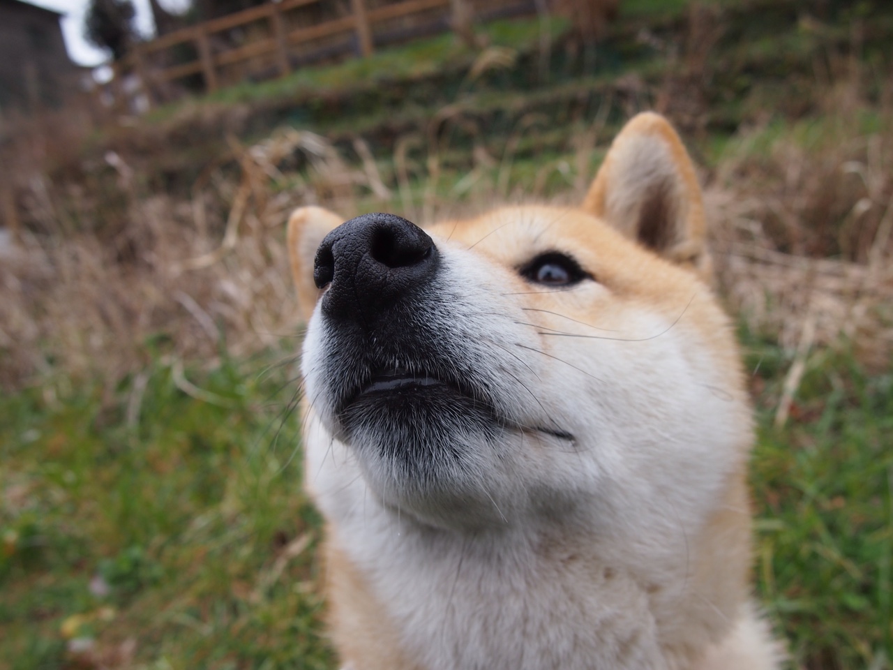 铁血骑士攻克烈焰主场，范弗利特末节风暴导演逆转神话