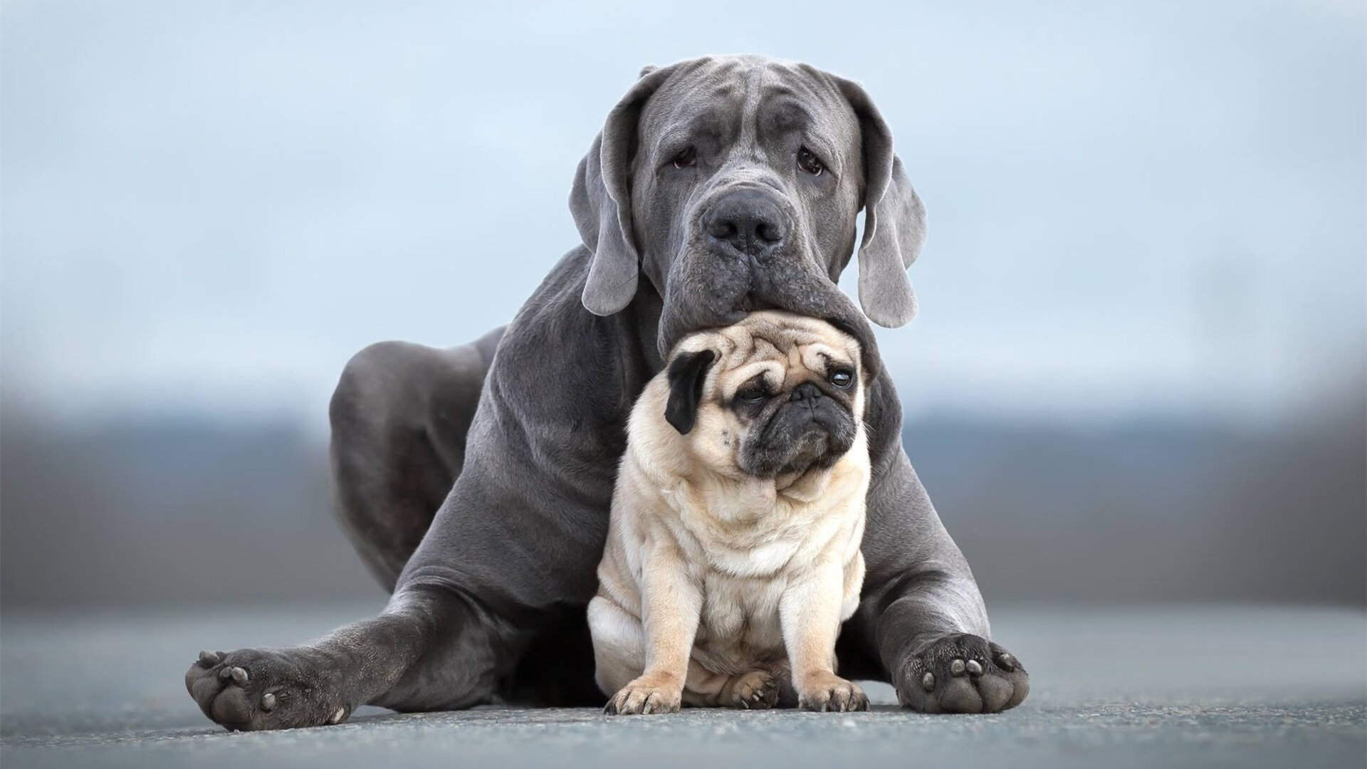 致命闪电，利物浦43分钟终结悬念，这场年度焦点之战如何重塑欧洲足坛认知？