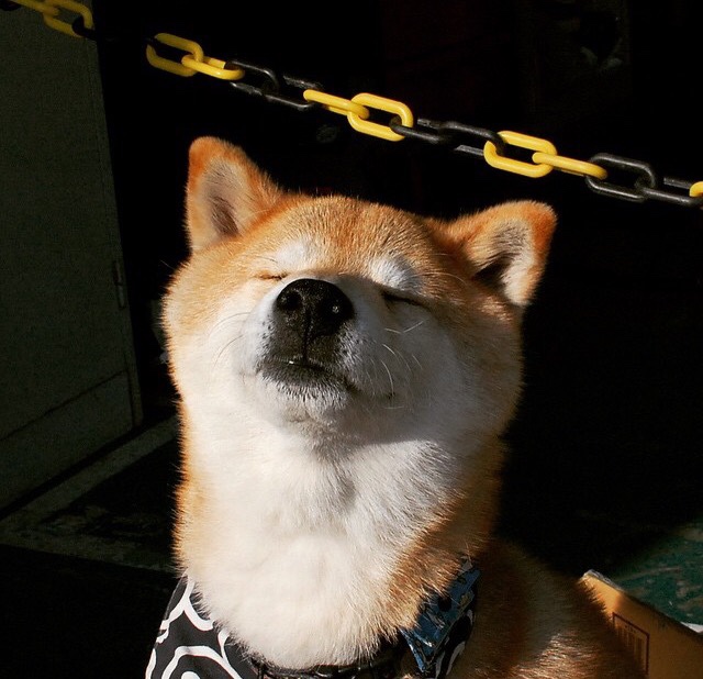 飞驰与跳跃，当F1风驰电掣遇上绿衫军破阵