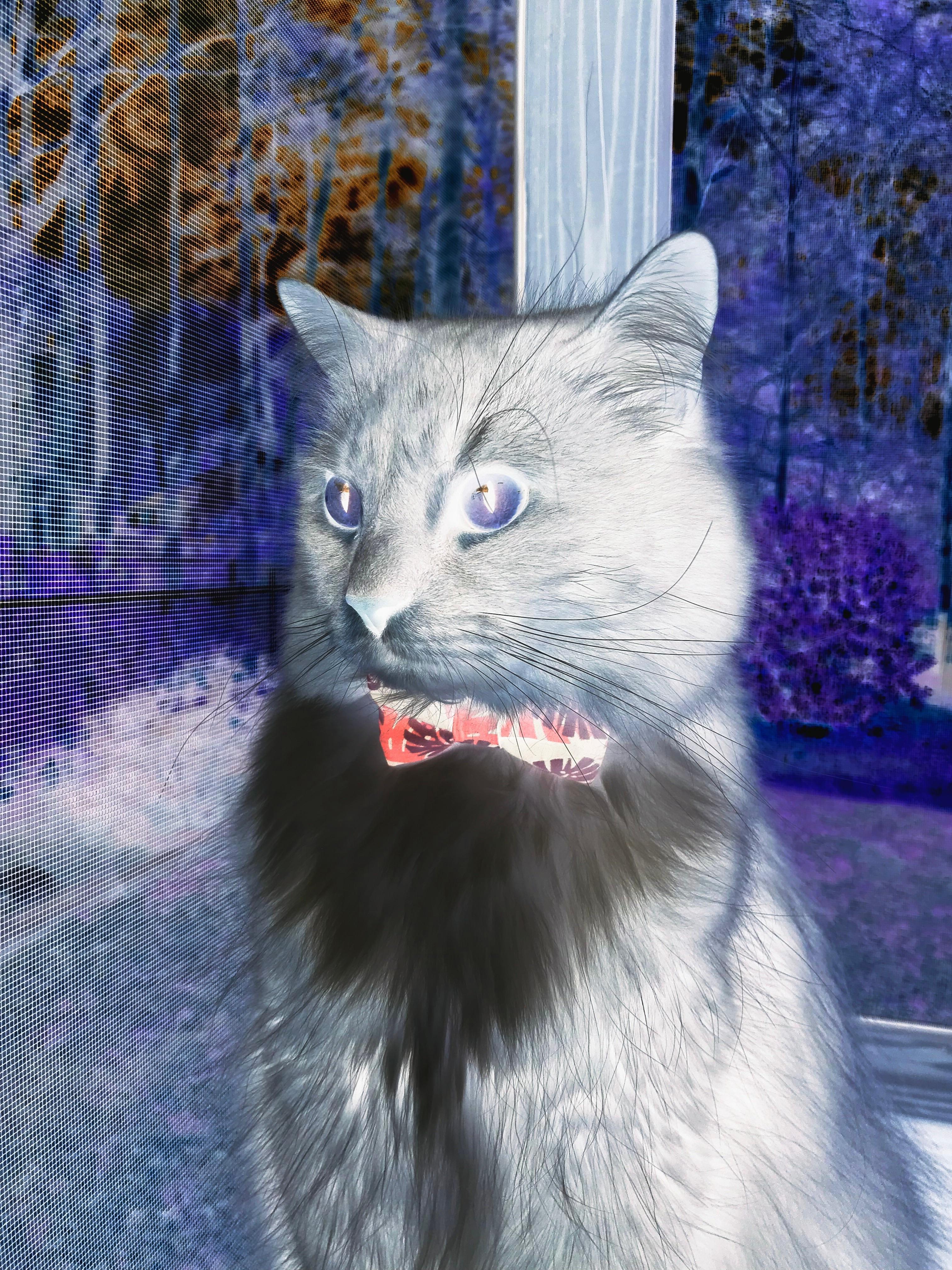 单骑救主与双塔压境，布克燃爆凤凰城，绿军铁蹄踏丹佛