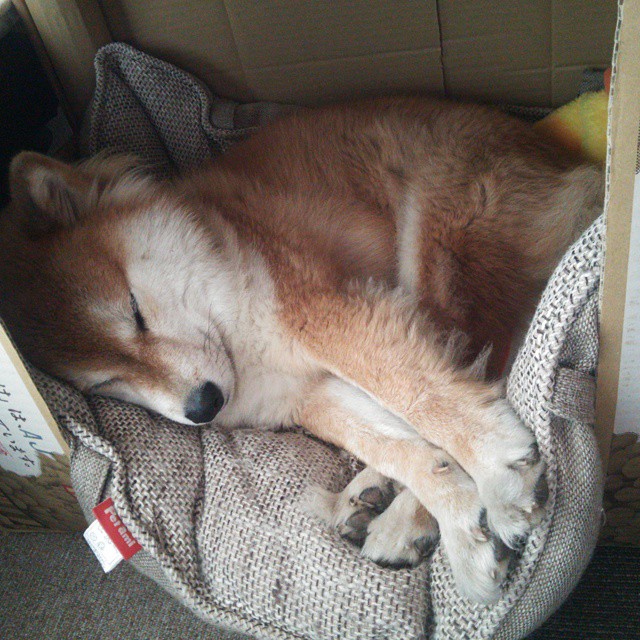 布伦森式逆袭，当快船翻盘的每一分钟，都被纽约的幽灵笼罩