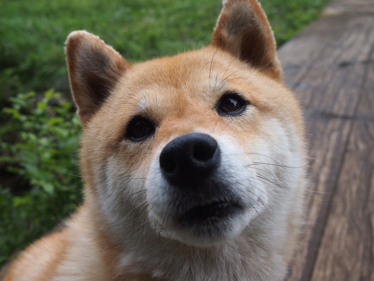 天塌时，雷霆需要你擎住—切特一战封神，他才是俄城无法被复制的唯一答案