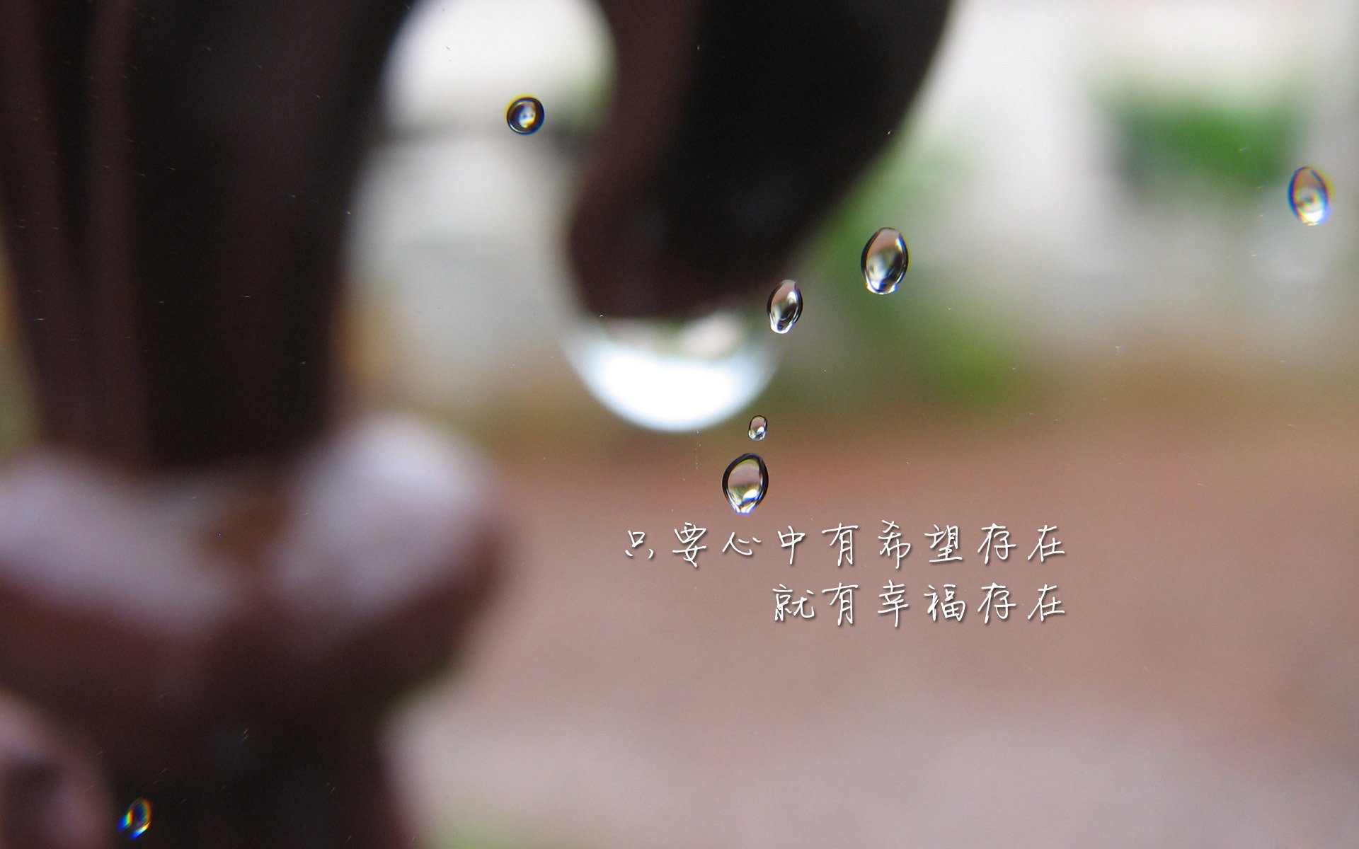 沙漠中的孤星,厄瓜多尔碾压伊朗背后,魔笛独奏的告别序曲