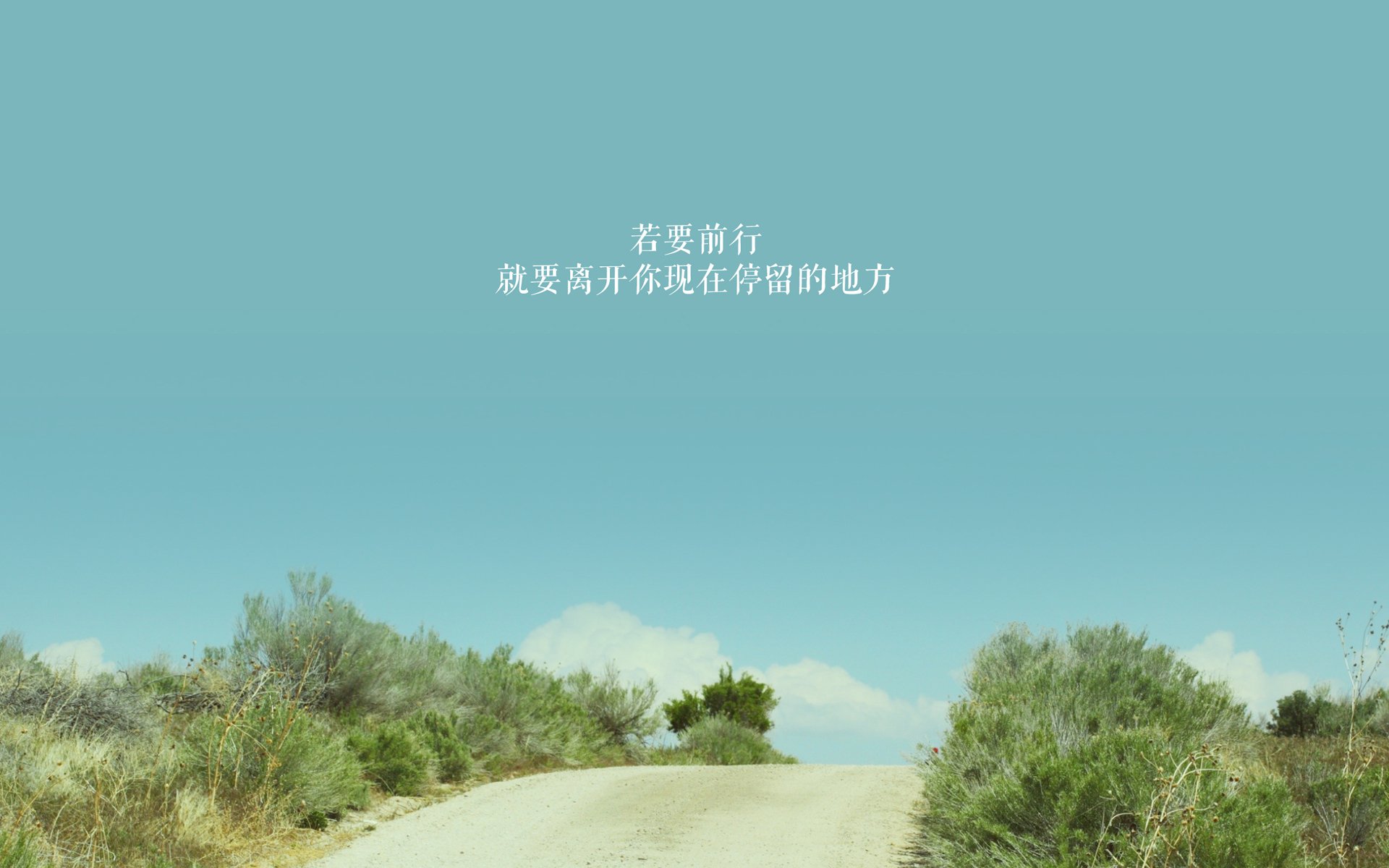 备选(按风格分类)
