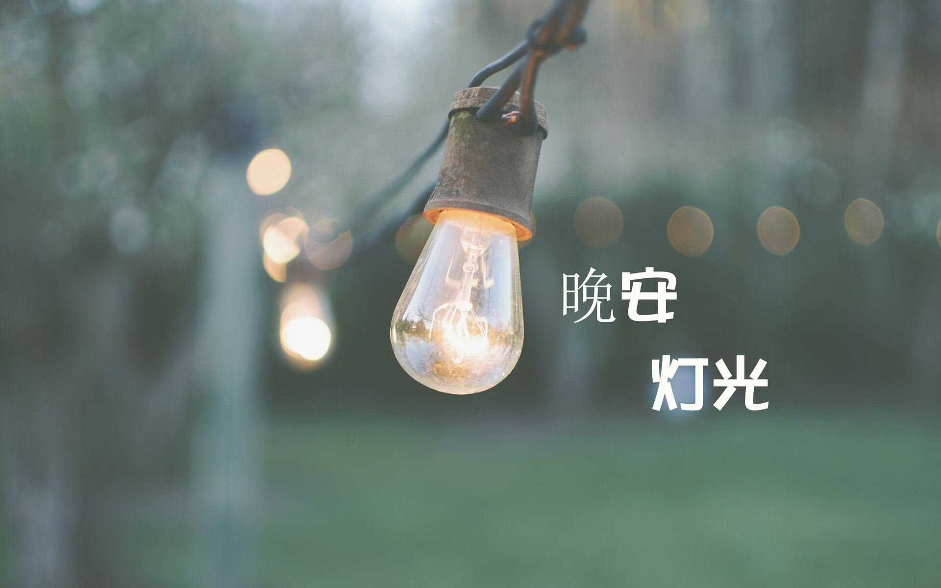 蓝衣剑客的独白,当托纳利用默契撕碎北欧防线,2026世界杯F组见证德国式涅槃